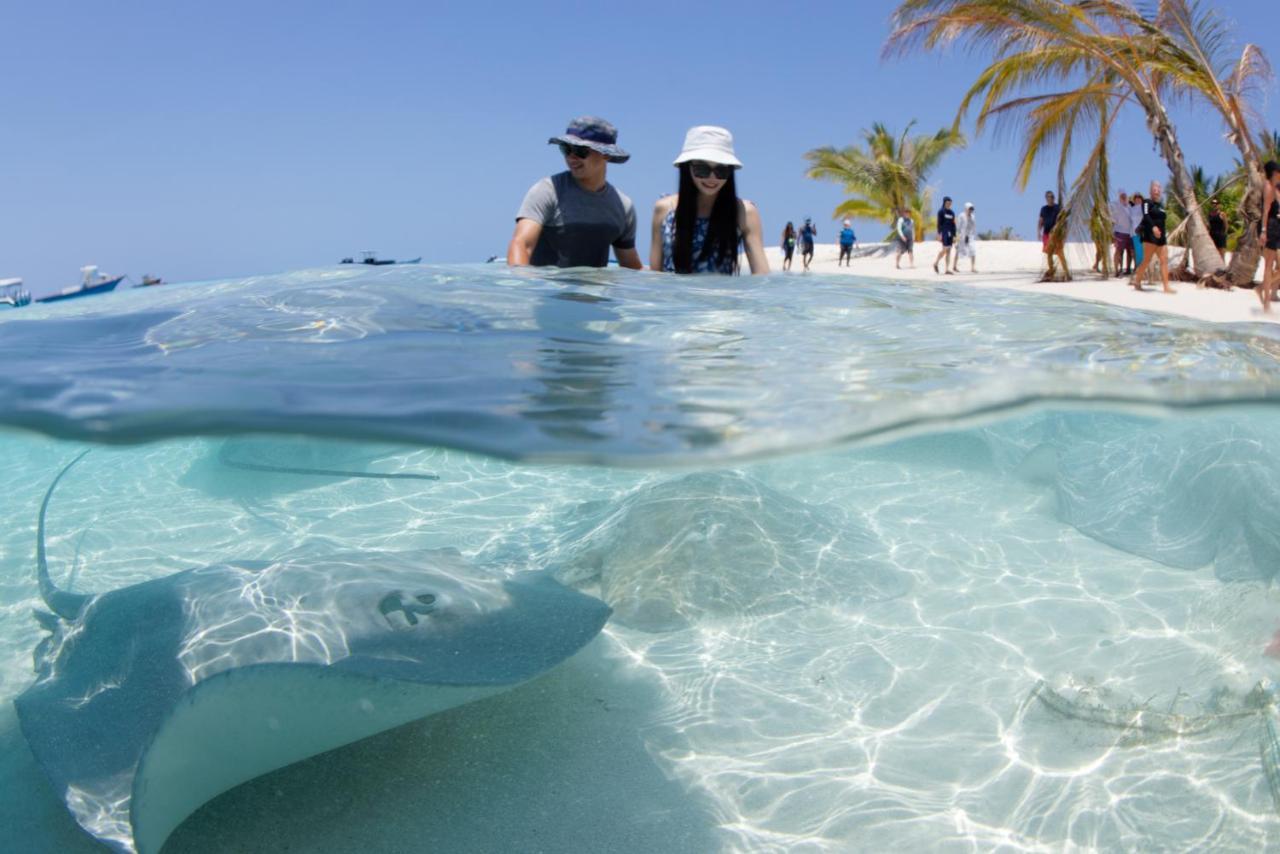 Crystal Sands Maafushi Dış mekan fotoğraf